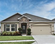 471 Pinecrest Loop, Davenport image