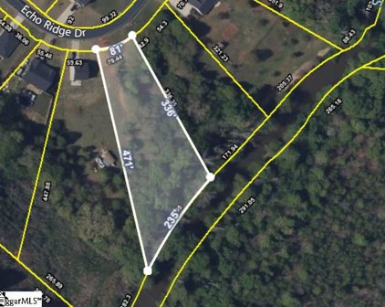 956 Echo Ridge Drive, Duncan