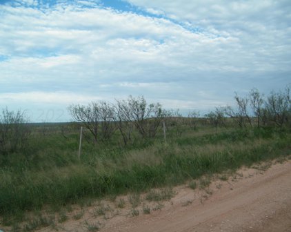 Gold Rd (X2 40 Acre Tracts), Valle de Oro