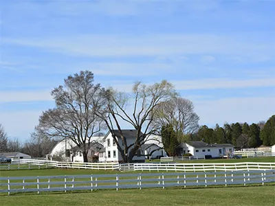 Mendon NY homes for sale
