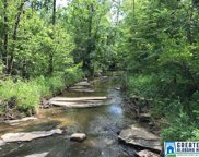 Sanie Road Unit 878+/- Acres, Odenville image