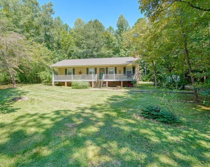 134 Tansi, Gaffney