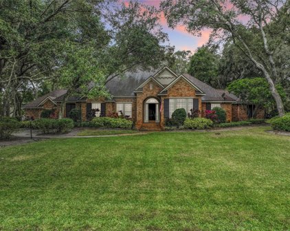 211 Piney Woods Road, Apopka