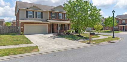 1033 Harmony Ln, Hendersonville
