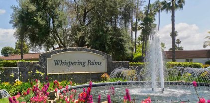 16066 Via Viajera Street, Rancho Santa Fe