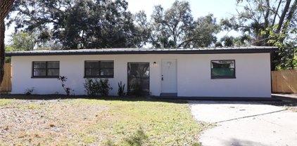 305 Lime Tree Road, Tampa