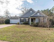 45 Rustyred Court, Chapin image
