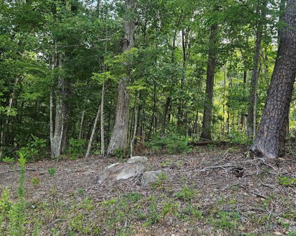 10916 Rise  Lane Unit #6, Indian Land