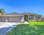 2819 Duncan Tree Circle, Valrico image