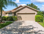18122 Canal Pointe Street, Tampa image