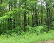 999 Turkey Hollow Lane, Goshen image