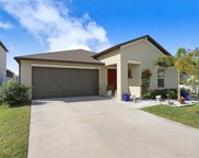 12825 Wildflower Meadow Drive, Riverview image