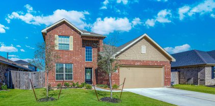 4623 Salado Falls Court, Baytown