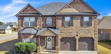 248 Springlakes Estates Drive, Lyman