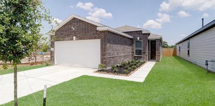 6123 Morning Fern Lane, Humble