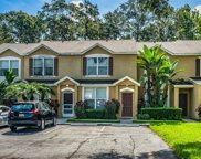 6411 Osprey Lake Circle, Riverview image