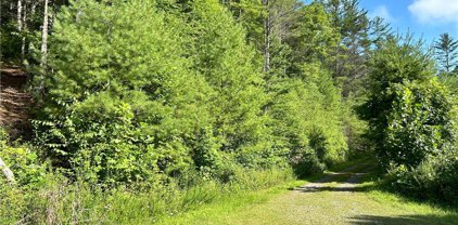 TBD/Lot 11 Fernwood Lane, Piney Creek