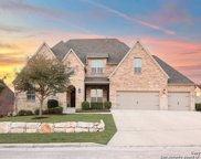 8335 Winecup Hl, San Antonio image