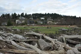 normandy park cove