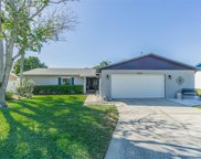 15816 Crying Wind Drive, Tampa image
