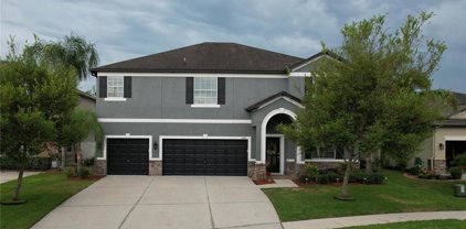 3768 Round Table Court, Land O' Lakes