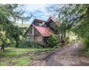 340 HOLCOMB SPUR RD, Kelso image