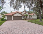 1595 Preserve Way, Clearwater image