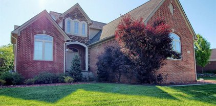 61130 PALOMINO, Lyon Twp