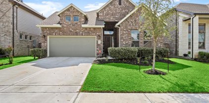 21514 Henrys Blush Drive, Tomball