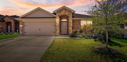 9312 Hill Topper  Trail, Fort Worth