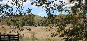 Leipers Fork Franklin TN Lots for Sale