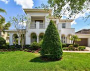 5906 Alana Leigh Place, Lithia image