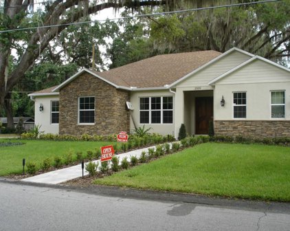 2009 Henderson Drive, Orlando