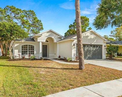 1465 Watermill Circle, Tarpon Springs