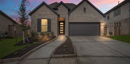 8703 Fox Trail Drive, Missouri City