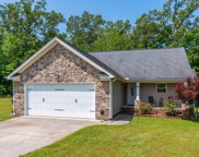 9625 Falcon Crest, Ooltewah image