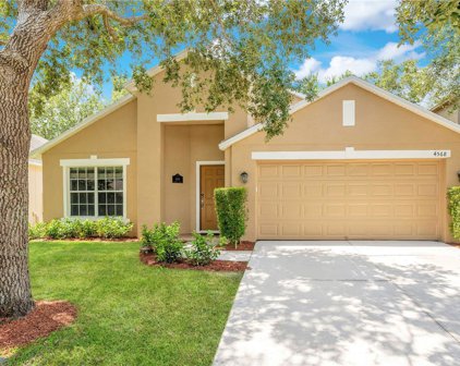 4568 Aguila Place, Orlando