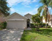 11451 Dutch Iris Drive, Riverview image