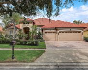 11515 Delwick Drive, Windermere image