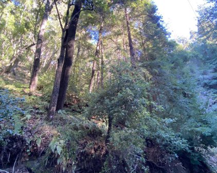 0 0 Redwood Drive, Aptos Ca. 95003, Aptos