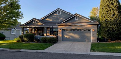 9570 Brook Hill Lane, Lone Tree
