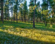 TBD LOT 5 Tin Cup Trail, Custer image