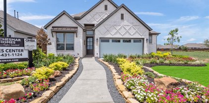 3376 Voda Bend Drive, Katy