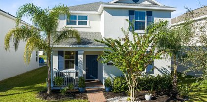 11138 Sweetgum Woods, Orlando
