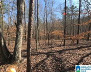 325 Charnell Drive Unit Tract 2 - 5 Acres, Ashville image