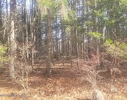 Magic Mountain Road, Henryville image