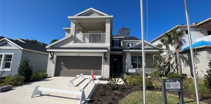 2564 Leafwing Court, Palm Harbor