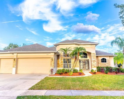 13201 Paloma Drive, Orlando