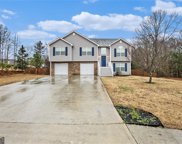595 Thistlewood Drive, Talmo image