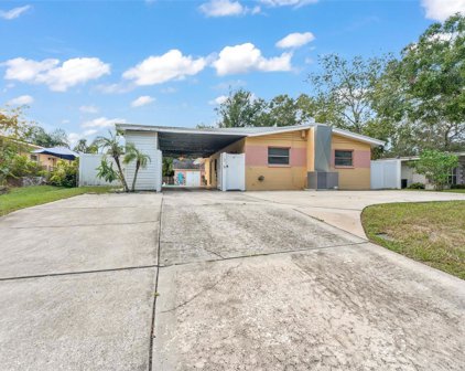 506 W Sitka Street, Tampa